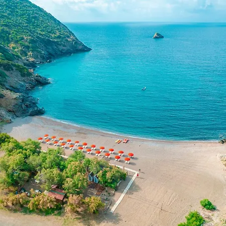 Fattoria Delle Ripalte Capoliveri (Isola d'Elba)