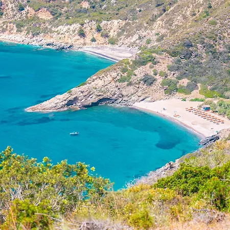 Fattoria Delle Ripalte Hotel